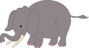 elefante