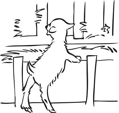 ilustracion de cabra