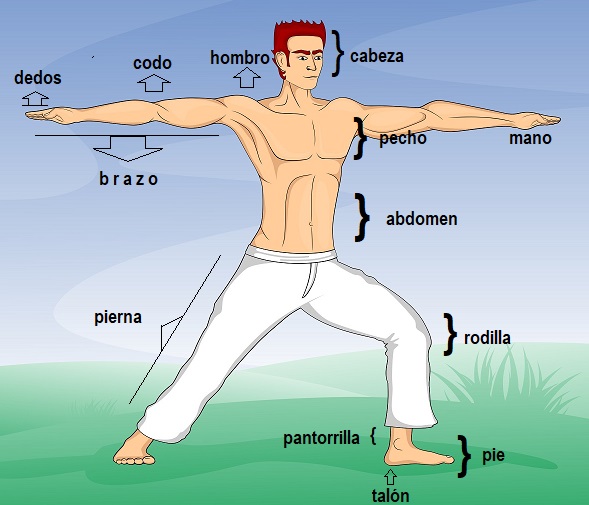 Picture of a person