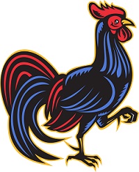 ilustracion de gallo